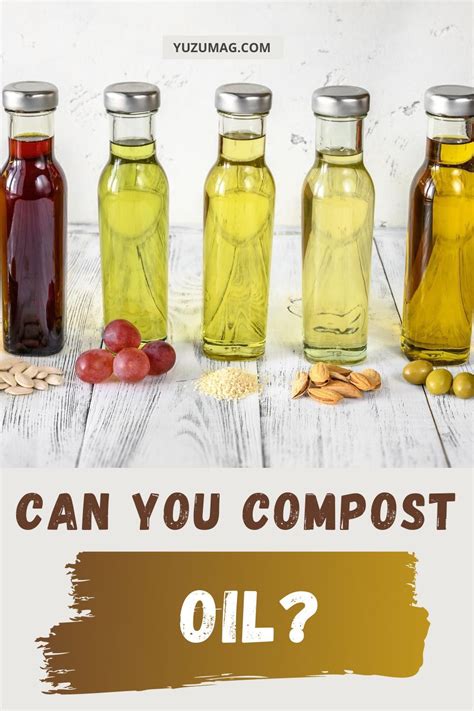Can I put olive oil in my compost?