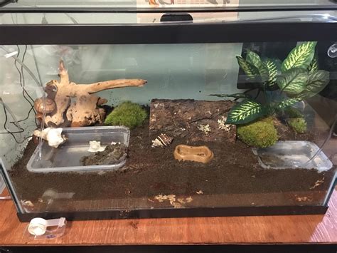 Can I put sticks from outside in my hermit crab tank?