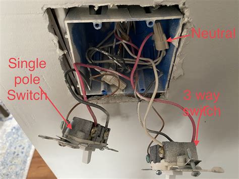 Can I put two neutral wires together?