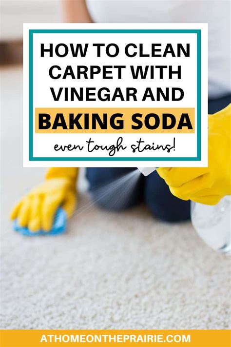 Can I put vinegar in my carpet cleaner?