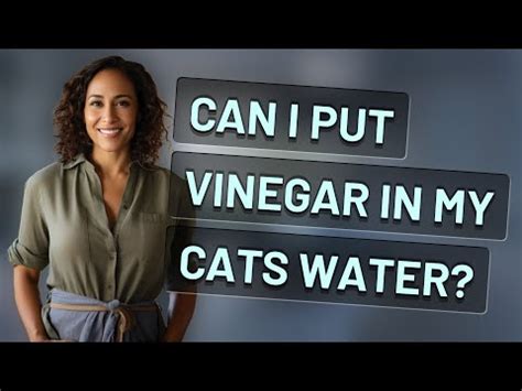 Can I put vinegar in my cats water?