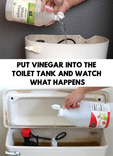 Can I put vinegar in my toilet tank?