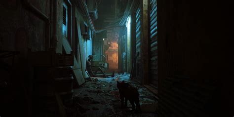 Can I return to the slums in stray?