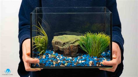 Can I reuse aquarium sand?