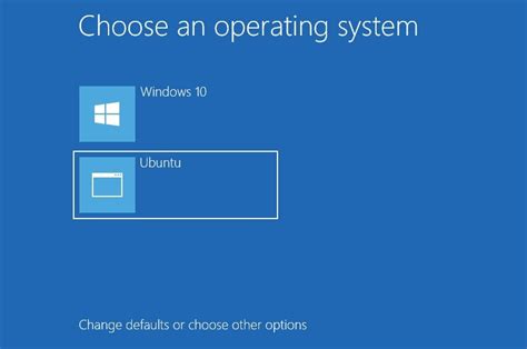 Can I run both Windows and Linux?