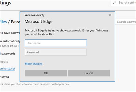 Can I see my Microsoft password?