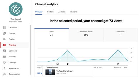 Can I see my own YouTube stats?