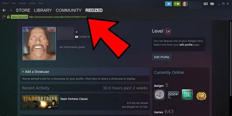 Can I show my Steam ID?