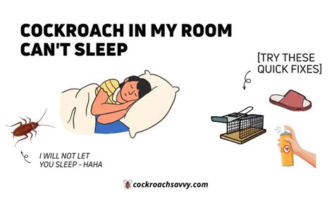 Can I sleep with a cockroach in my room?