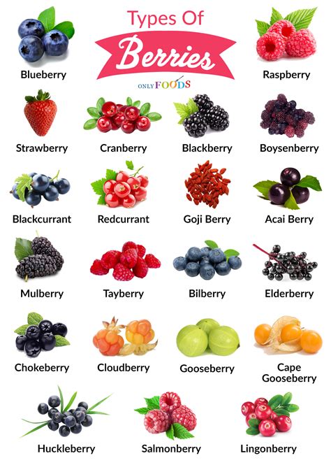 Can I snack on berries?