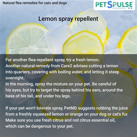 Can I spray lemon juice to keep cats away?
