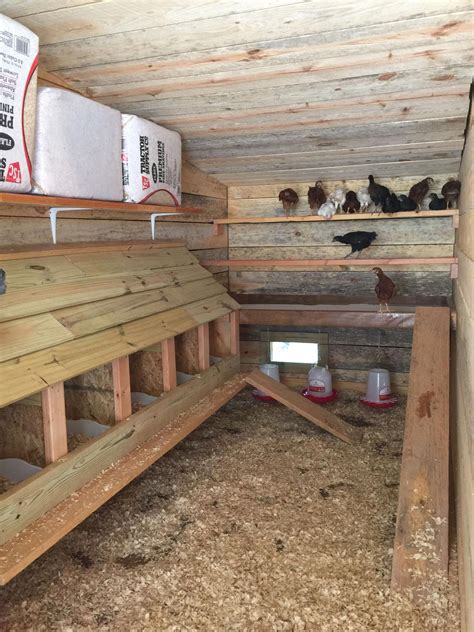 Can I sprinkle baking soda in my chicken coop?
