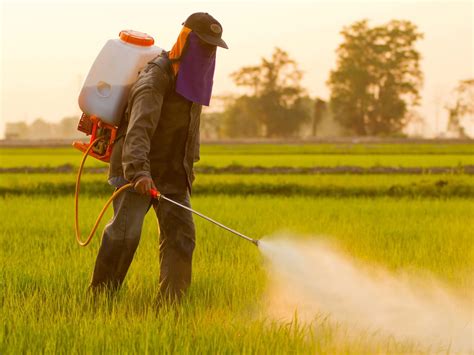 Can I stay in a room after spraying pesticides?