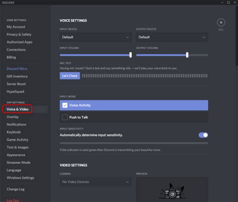 Can I test my audio on Discord?