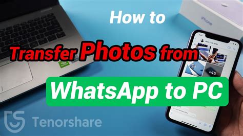 Can I transfer WhatsApp to PC?