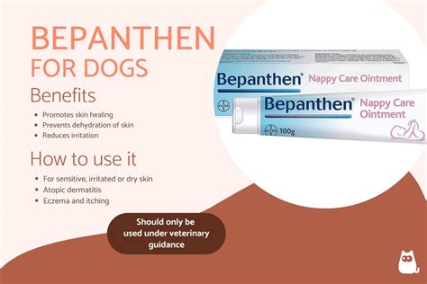 Can I use Bepanthen on my dog?