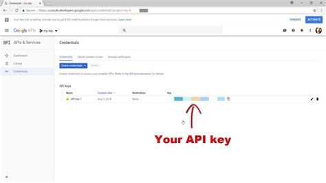 Can I use Google API to make money?