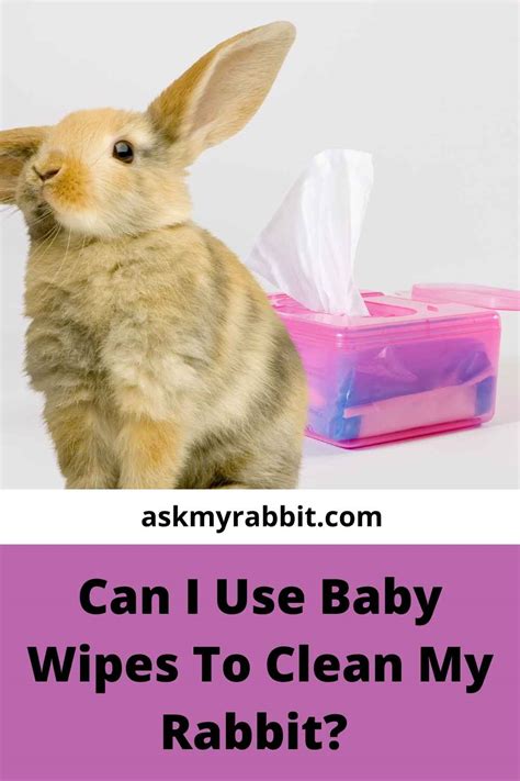 Can I use baby wipes on my rabbits bum?