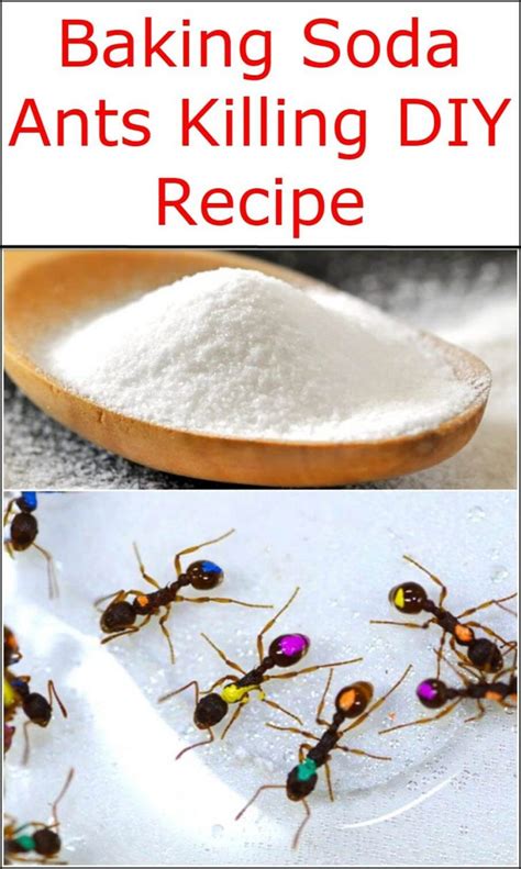 Can I use baking soda instead of borax to kill ants?