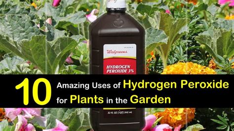 Can I use hydrogen peroxide in my garden soil?
