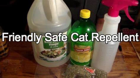 Can I use lemon juice to keep cats away?