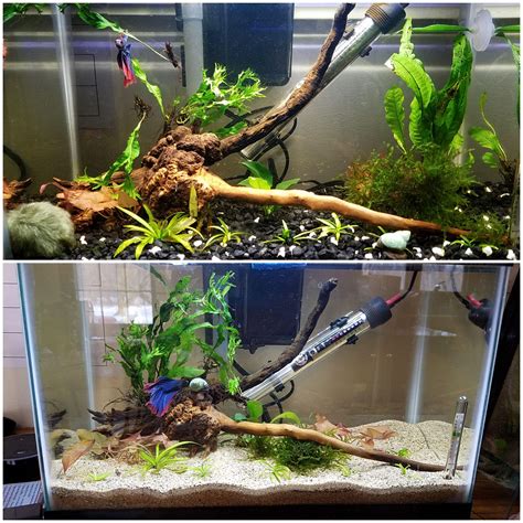Can I use play sand in my aquarium?