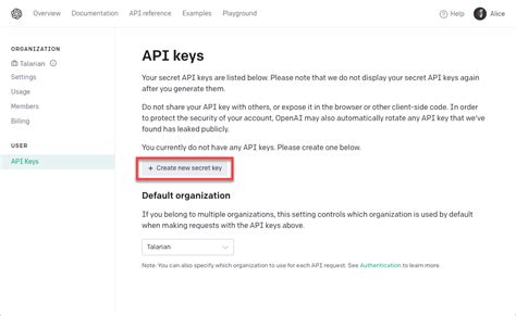 Can I use someone else's API key?