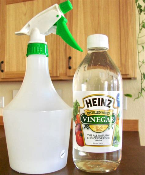 Can I use vinegar as a spray?