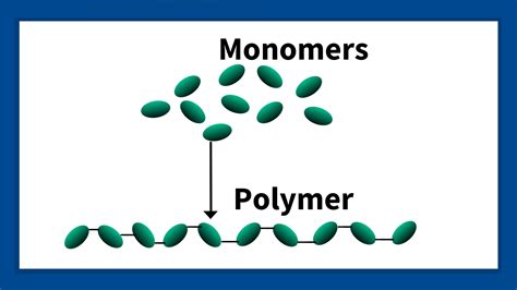 Can I use water as monomer?