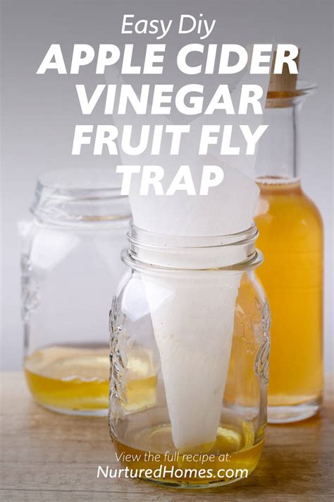 Can I use white vinegar instead of apple cider vinegar for fruit flies?