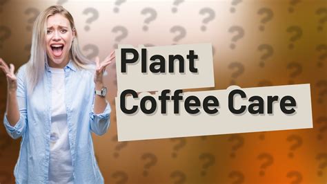 Can I water my plants with leftover coffee?