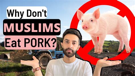 Can Islam eat pig?