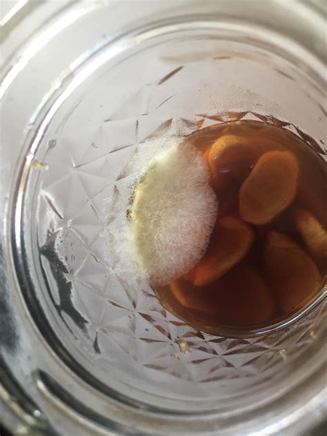 Can Mould grow on honey?