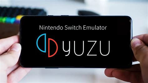 Can Nintendo sue you for using an emulator?