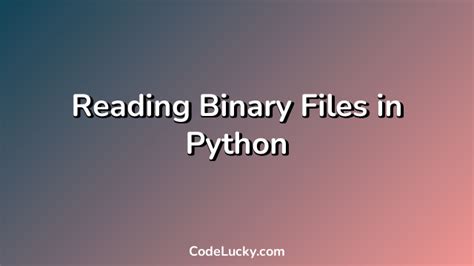 Can Python read binary?