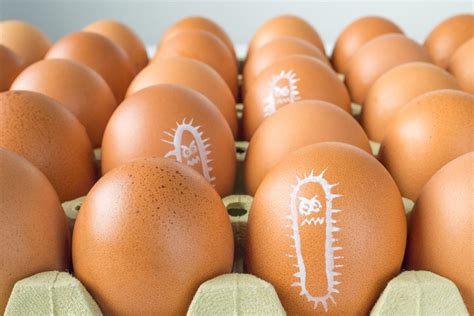 Can Salmonella grow inside an egg?
