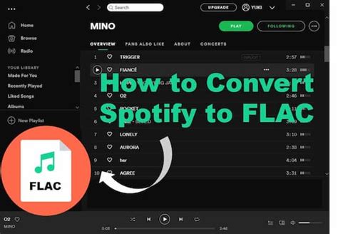 Can Spotify read FLAC?