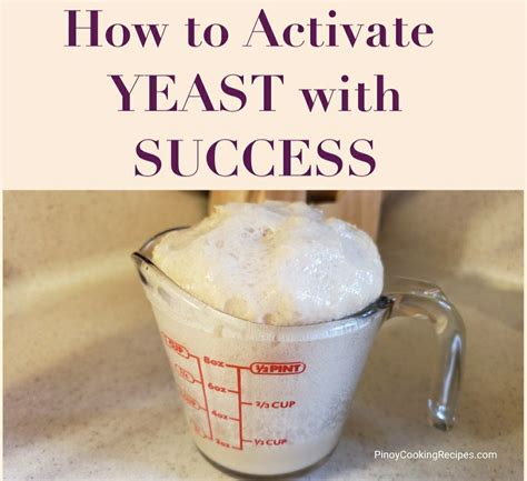 Can Stevia activate yeast?