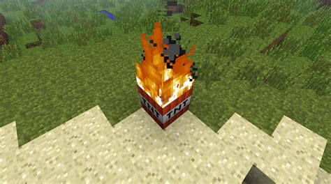 Can TNT be burned?