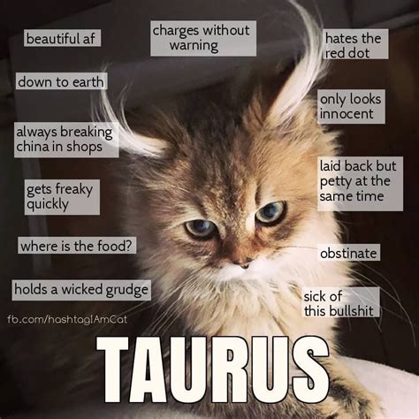 Can Taurus be cute?