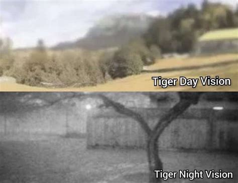 Can Tiger see in the dark?