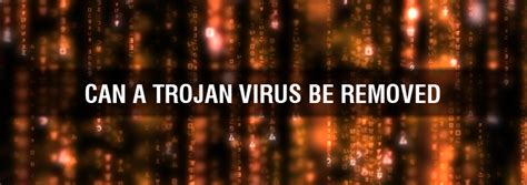 Can Trojan virus be removed?