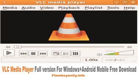 Can VLC player store files?