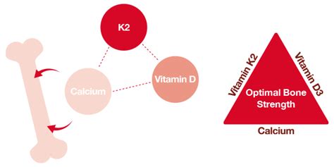 Can Vitamin K2 be taken alone?