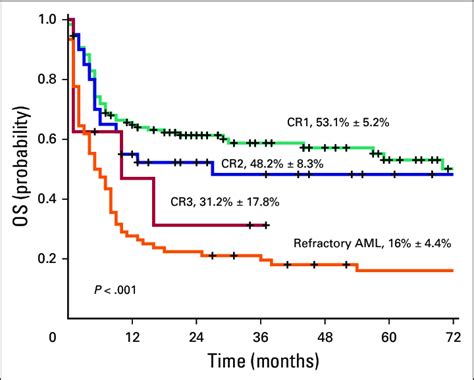 Can a 70 year old survive AML?