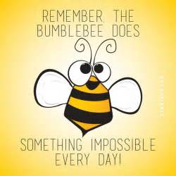 Can a bumblebee remember you?