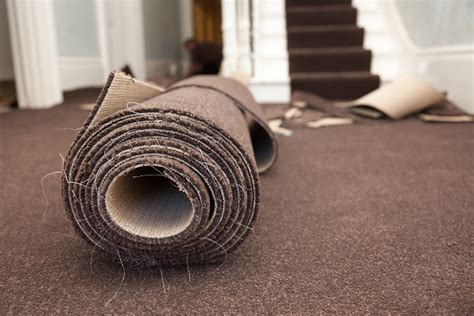 Can a carpet last for 10 years?