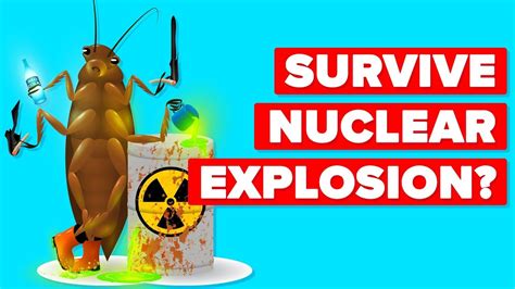 Can a cockroach survive a nuke?