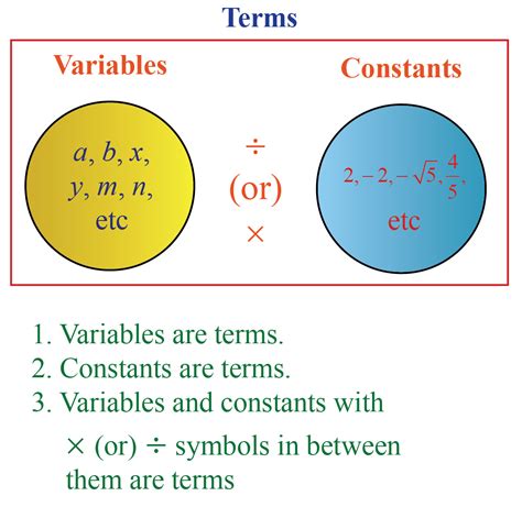 Can a constant be any number?