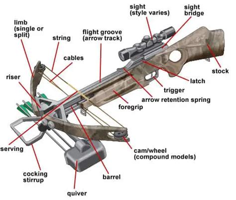 Can a crossbow penetrate bone?